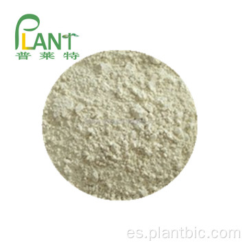 Fuente de fábrica Pure Planta Natural Extractos Polvo de avena